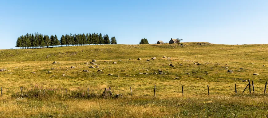 Paysage d'Aubrac