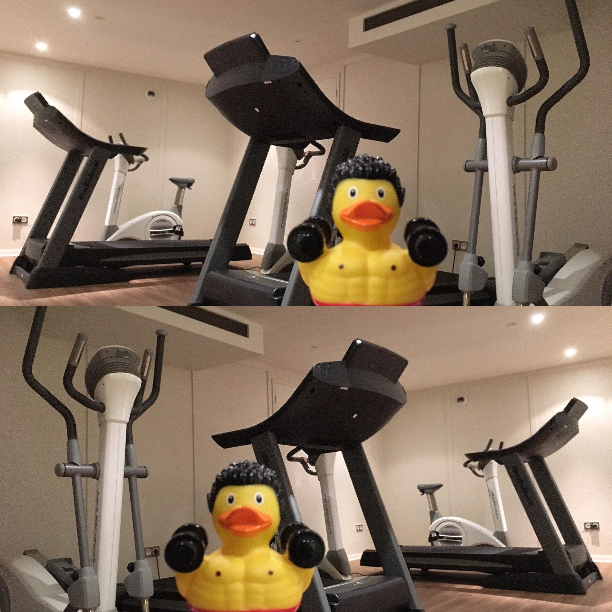 Le 1837 Salle De Sport