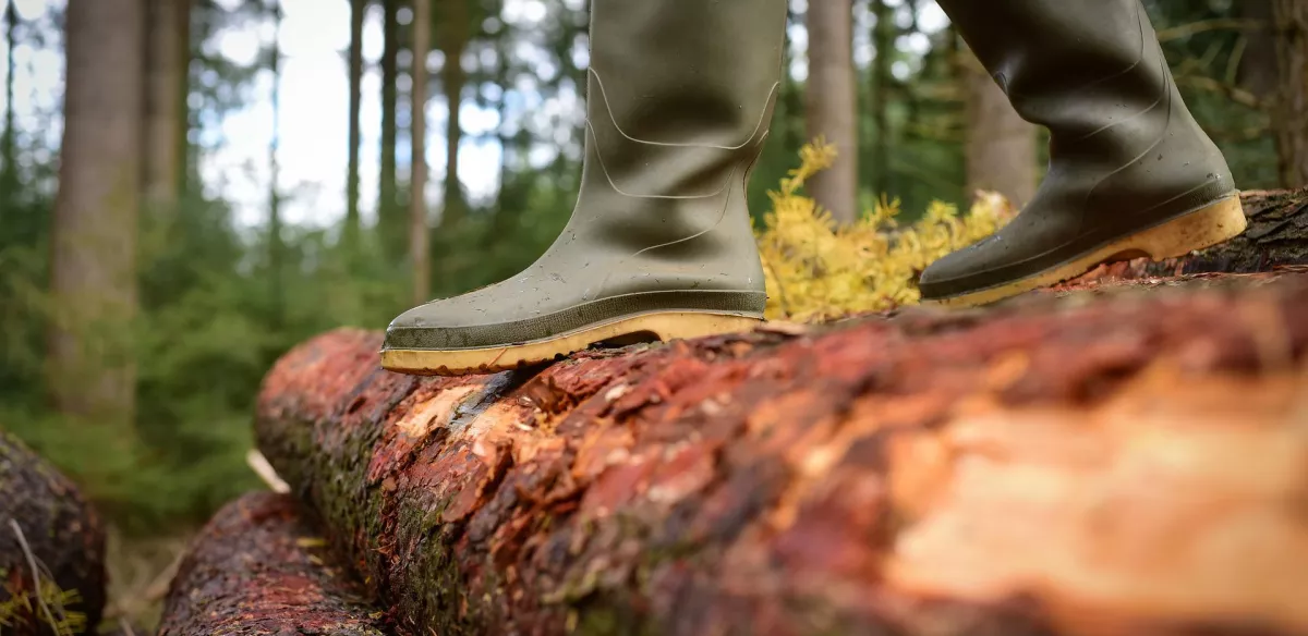 Ambassade Aveyronnaise Bottes