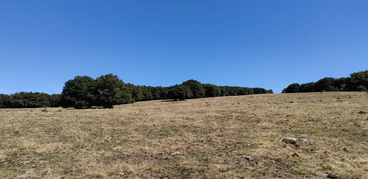 Plateau de l'Aubrac en Aveyron